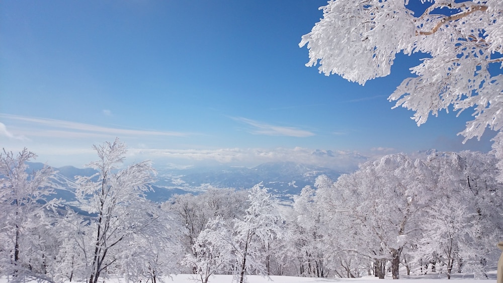 Nozawa Dream 27/28