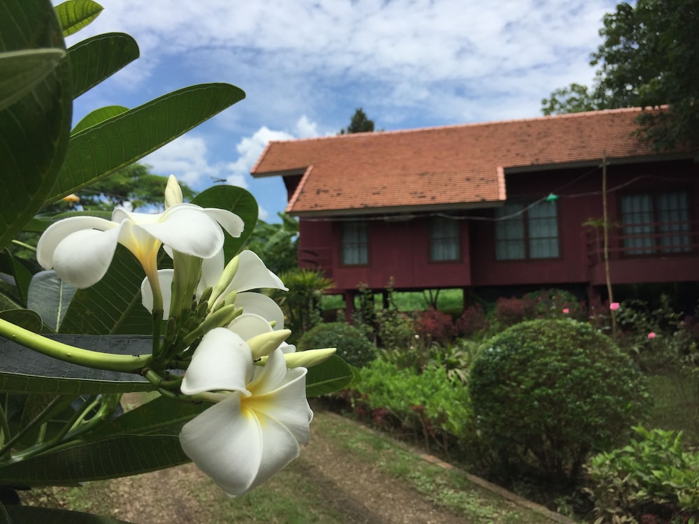 Chiangmai Royal Creek 3/57