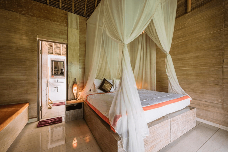 Suite, Jungle View