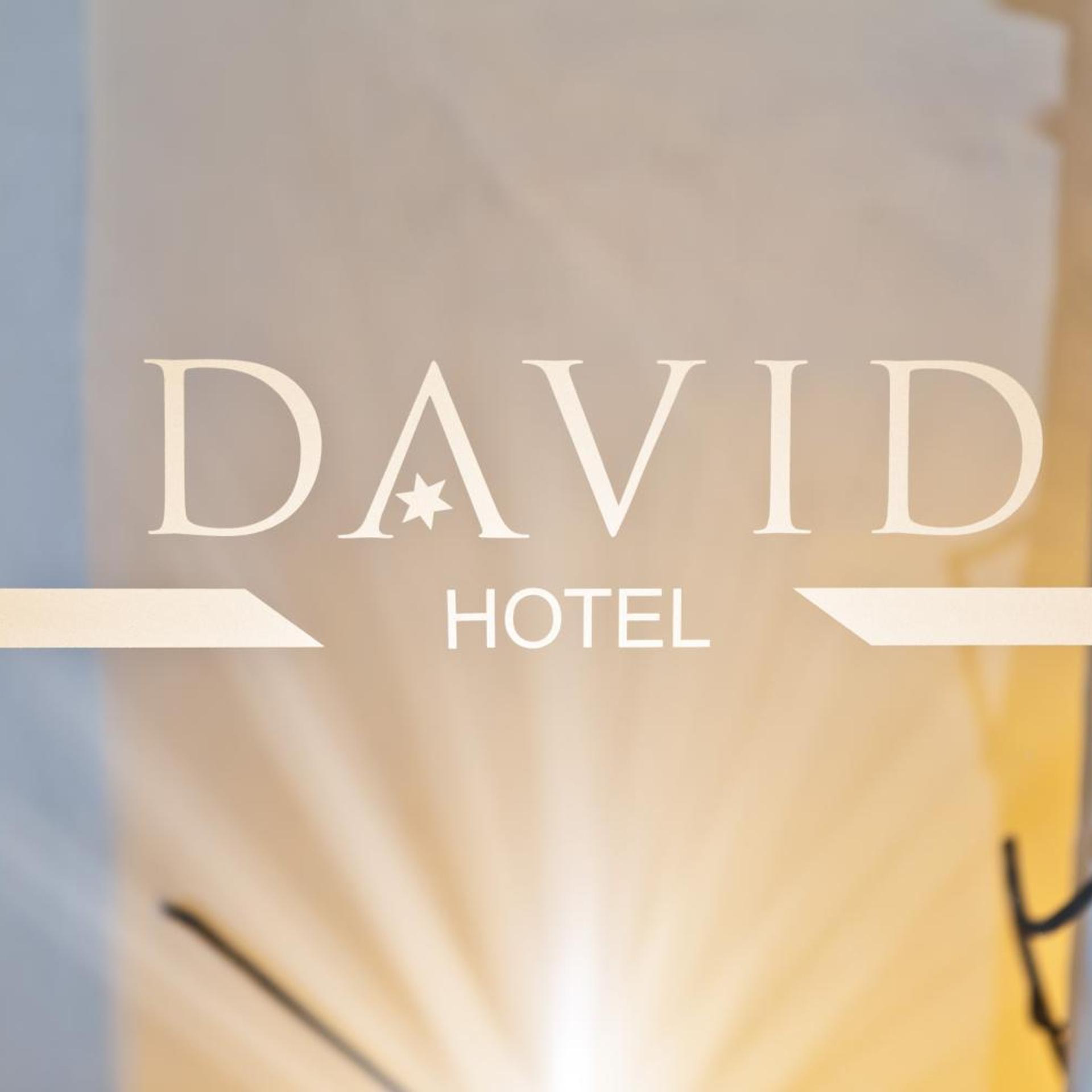 Hotel David 33/56