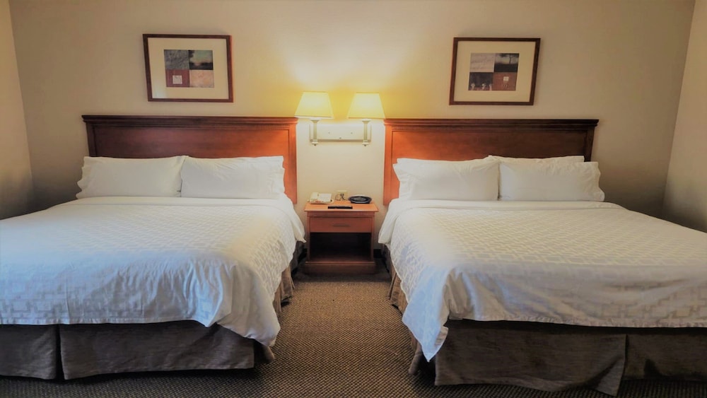 Candlewood Suites San Antonio Downtown 15/43