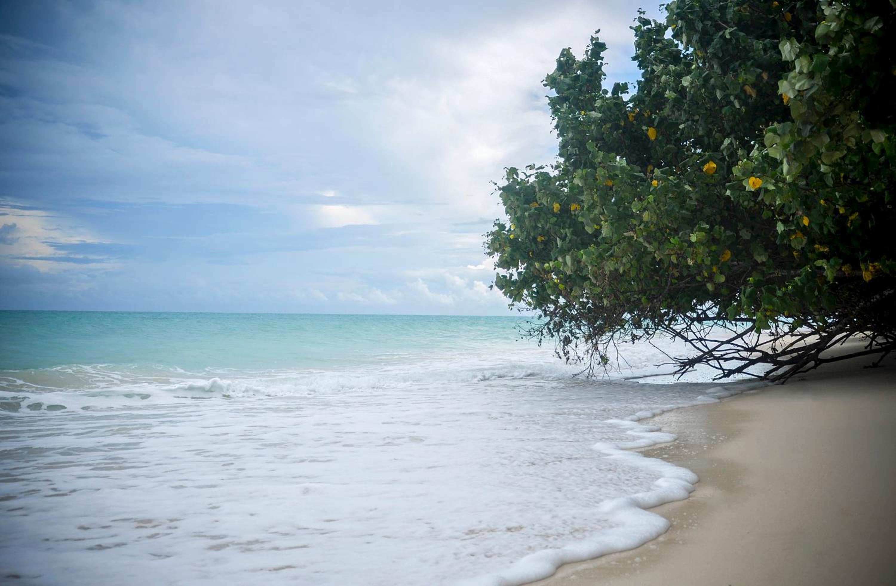 Emerald Gecko Resort-Havelock Island 26/32