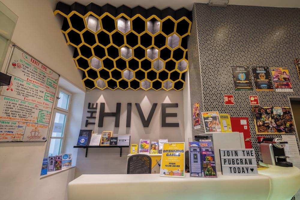 The Hive Party Hostel 10/65