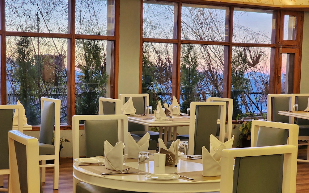 Hotel Pine View ( Pure Vegetarian ) 34/50