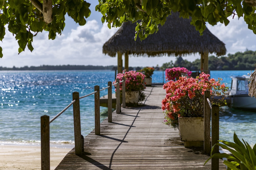 Intercontinental Bora Bora Le Moana Resort 16/81