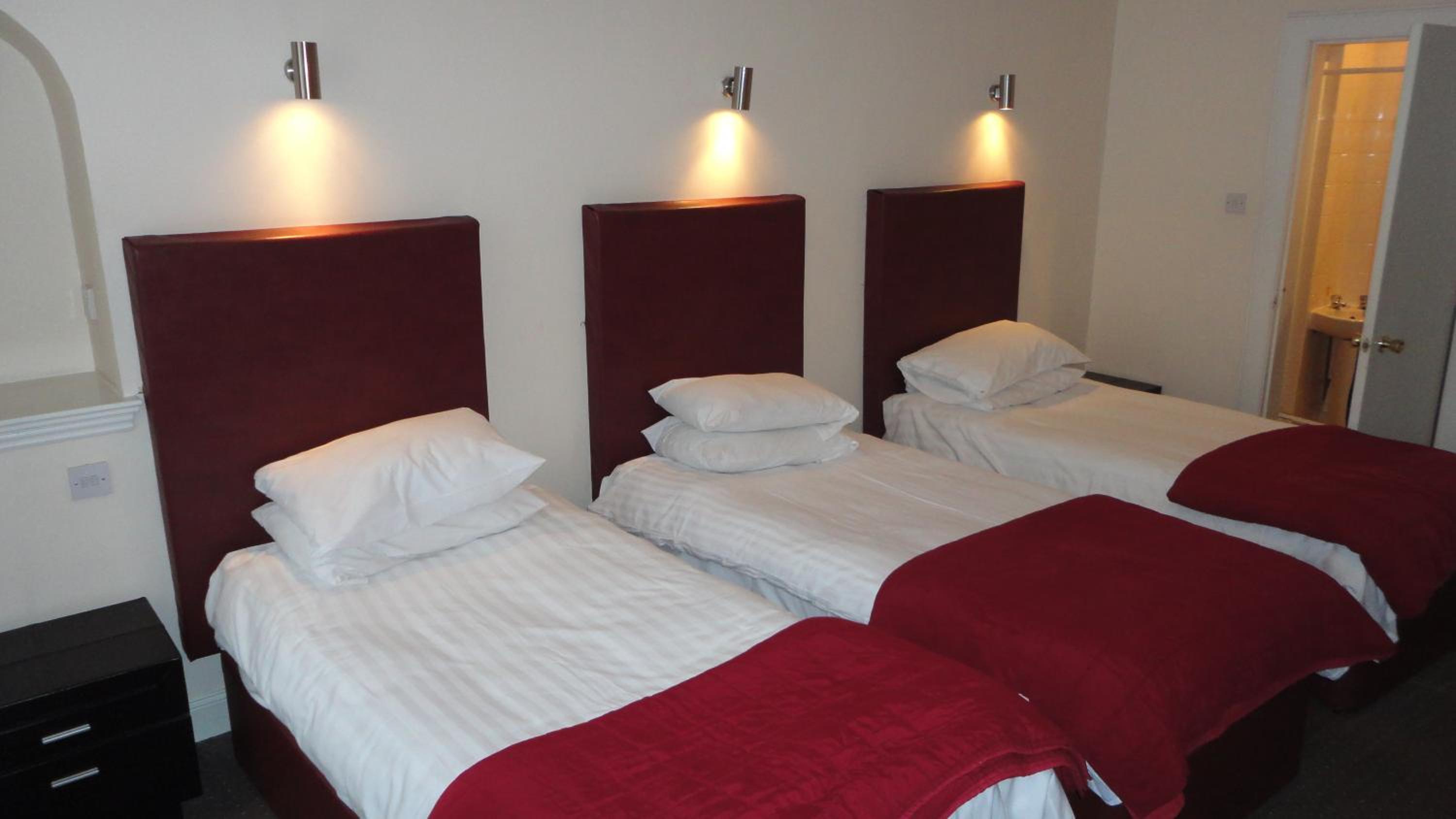 The Sandyford Hotel 21/50