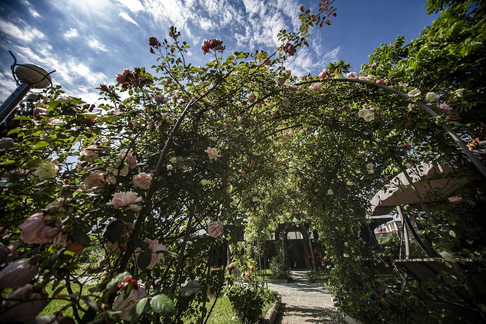 Chveni Ezo Boutique Hotel 39/42