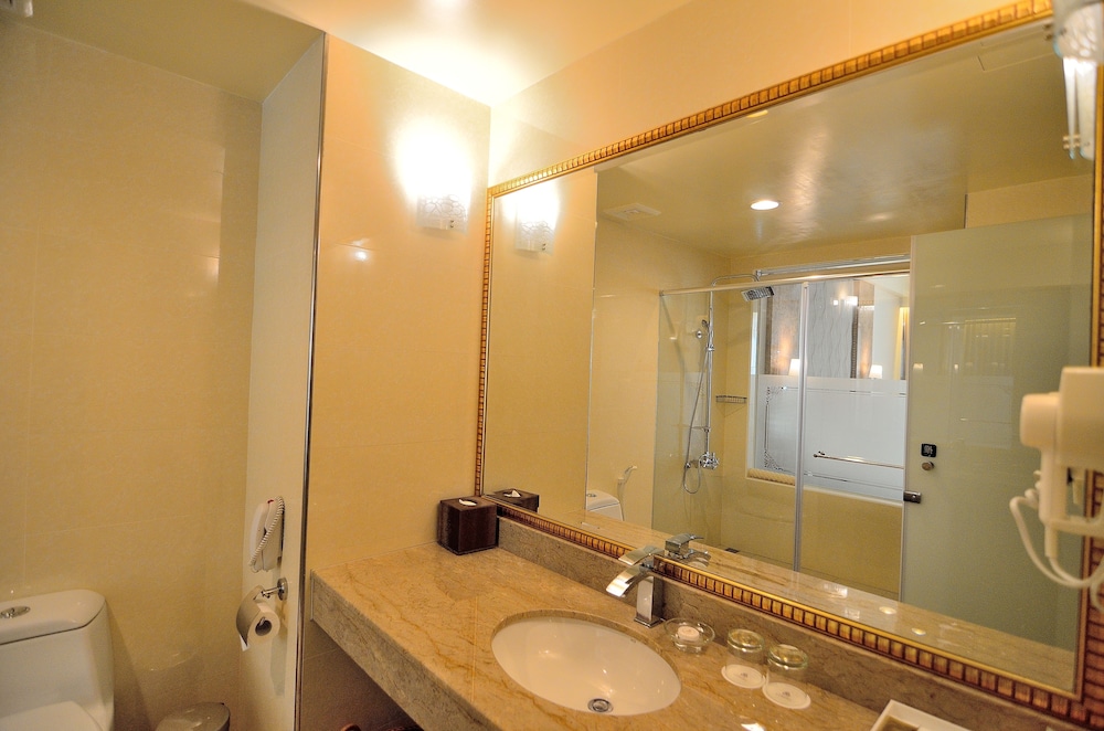 Royal Chiayi Hotel 37/66