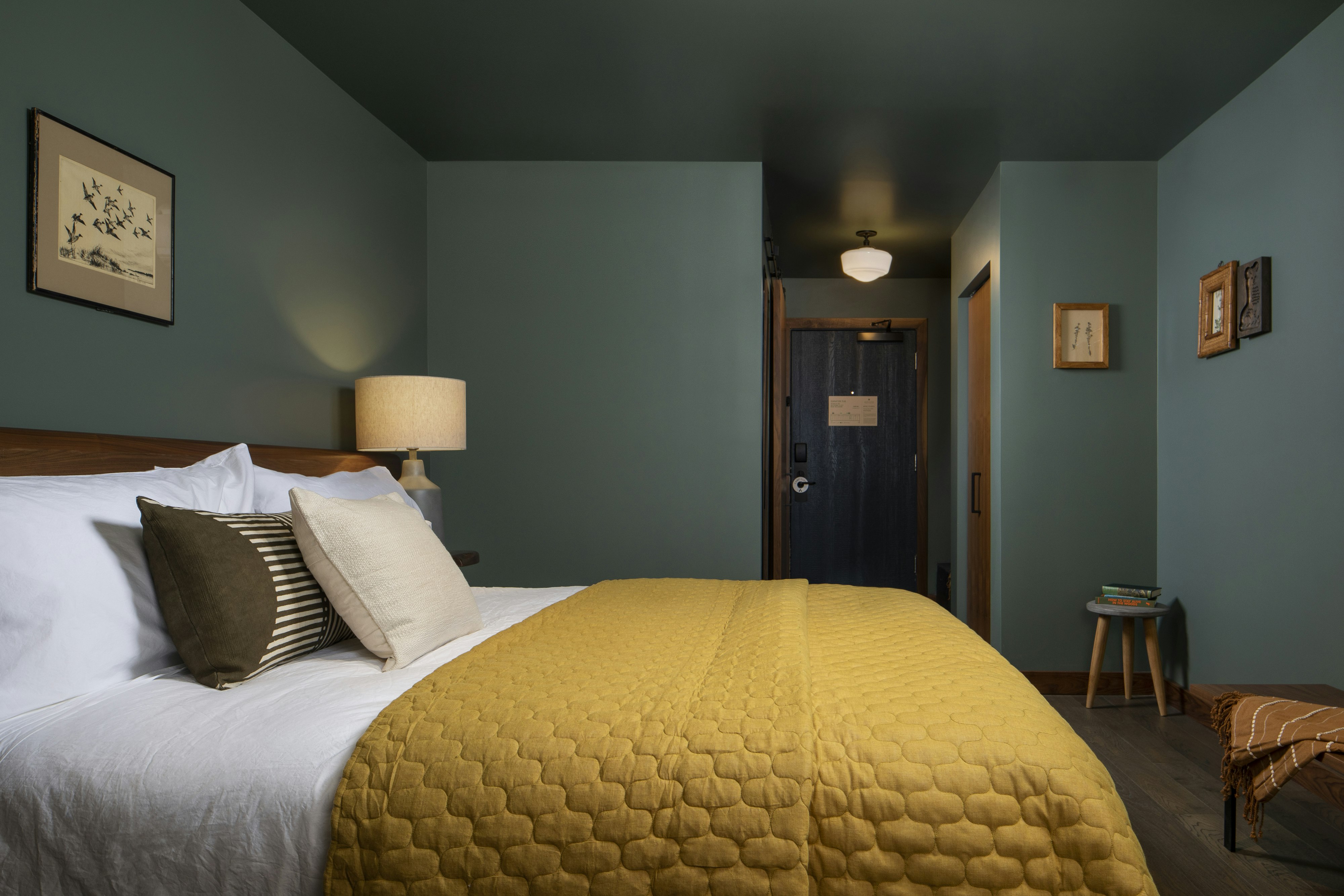Room, King Bed, Lake Side, Accessible
