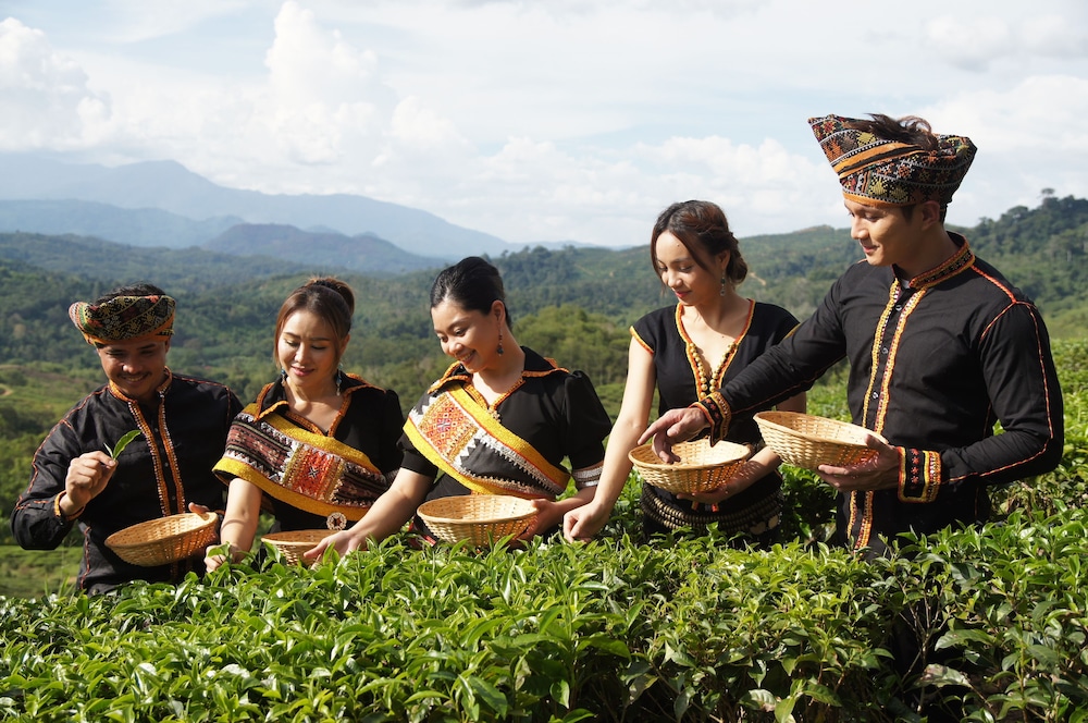 Sabah Tea Garden 62/70