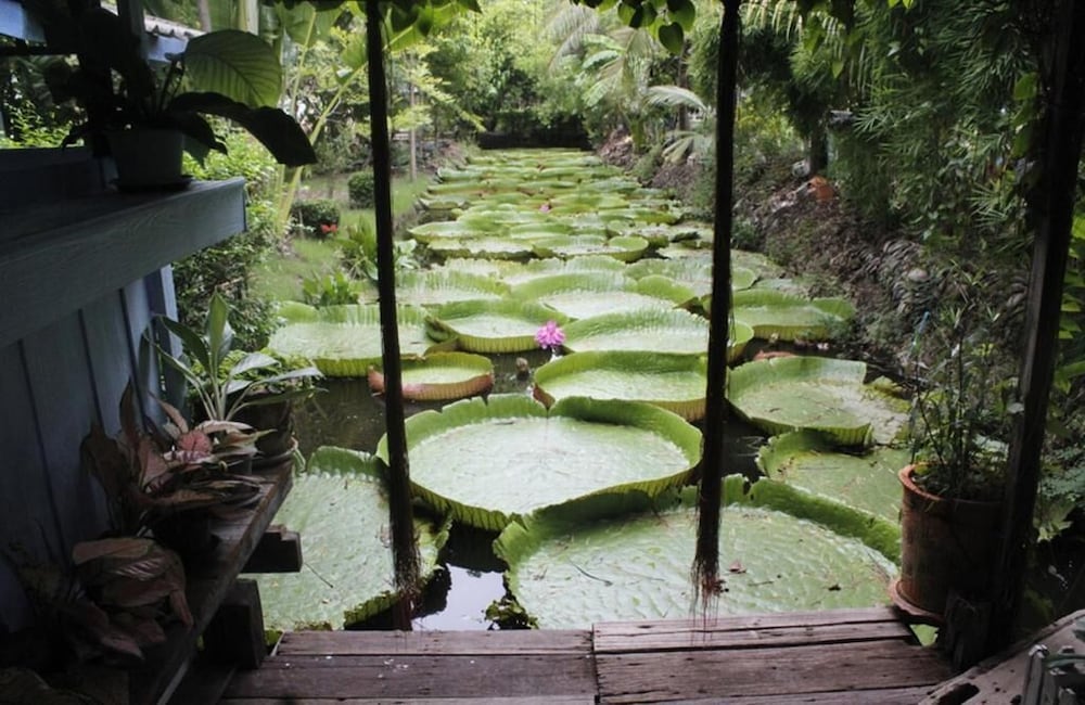 Sasi Nonthaburi Hotel And Apartment 43/57