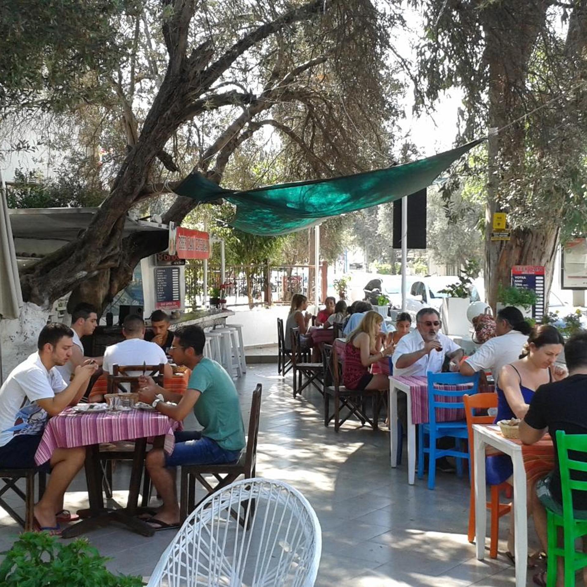 Bircan Hotel 32/56