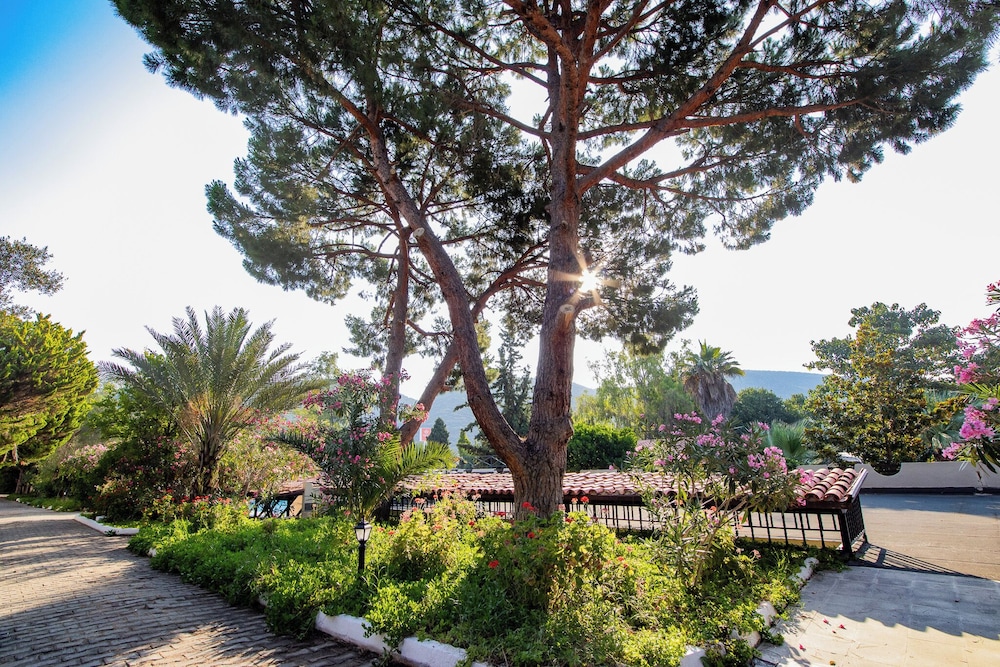 Pigale Beach Resort 61/66