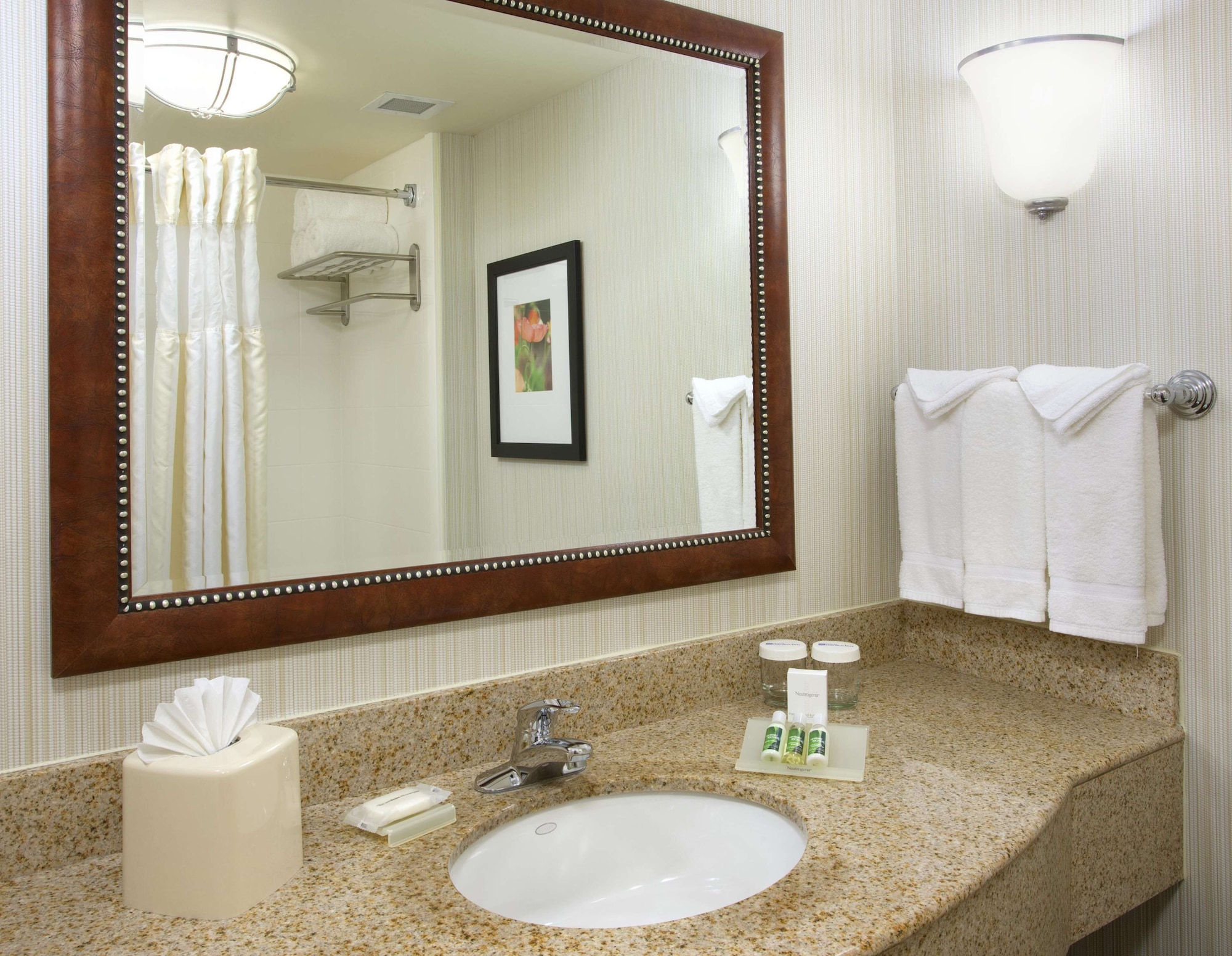 غرفة قياسية بسريرين كوين، Hilton Garden Inn Gainesville 3/4