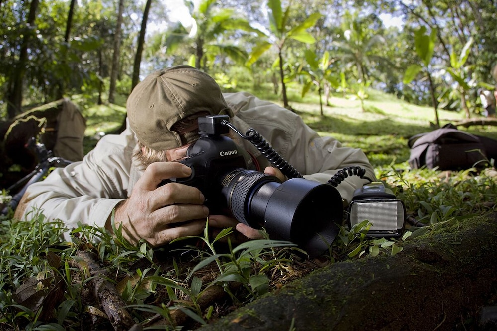 Bosque del Cabo Rain Forest Lodge 36/42