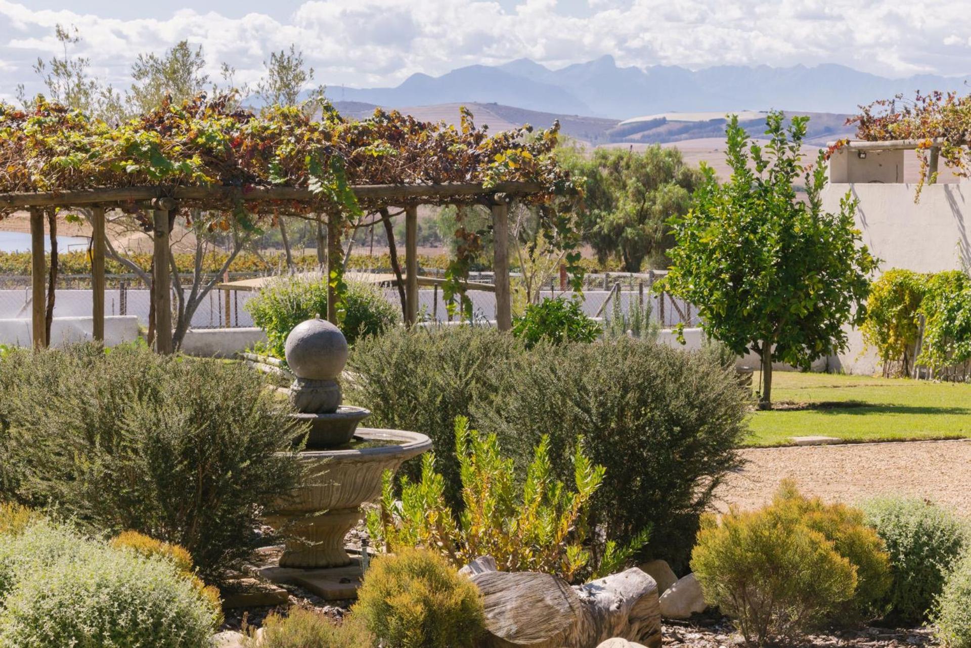 Doran Vineyards Accommodation 9/14