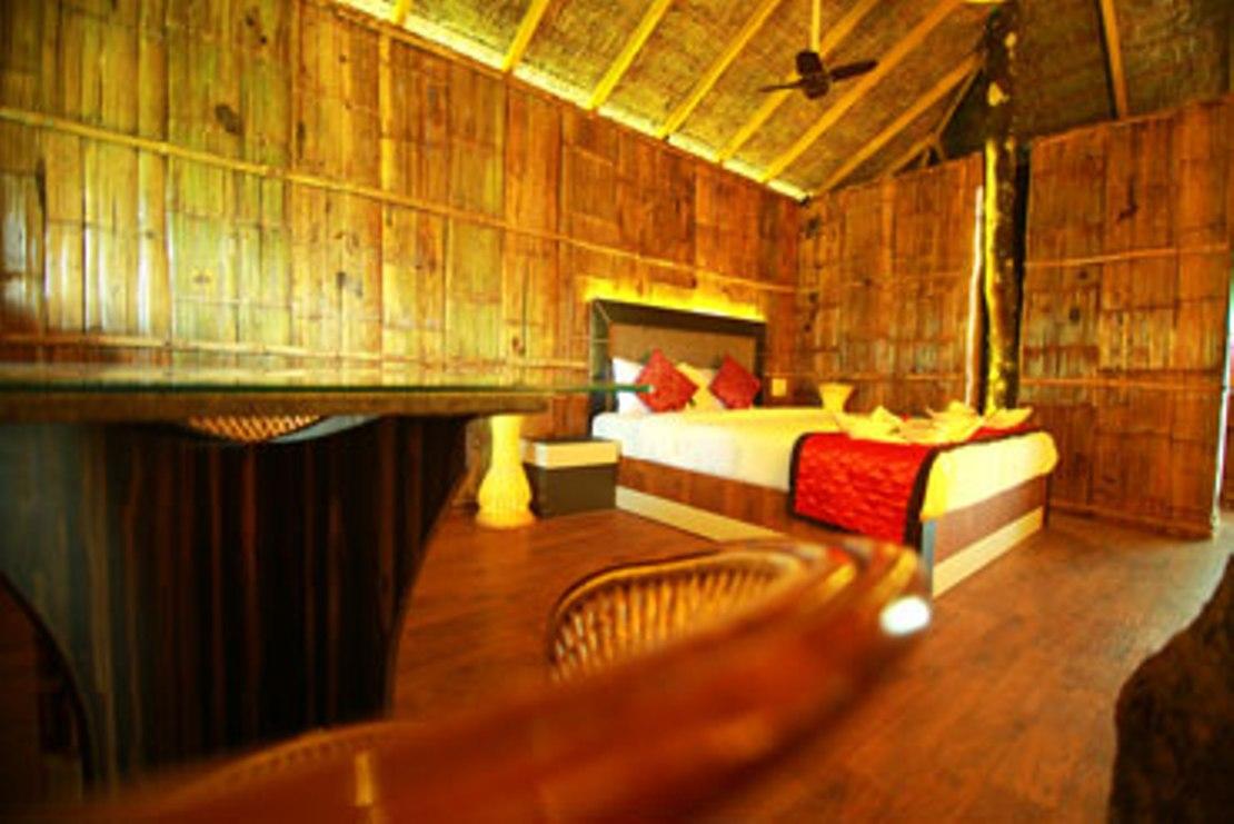 Tree House