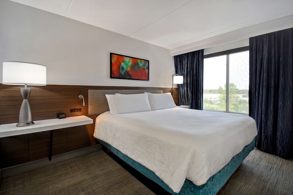 Hilton Garden Inn Detroit Metro Airport 9/45
