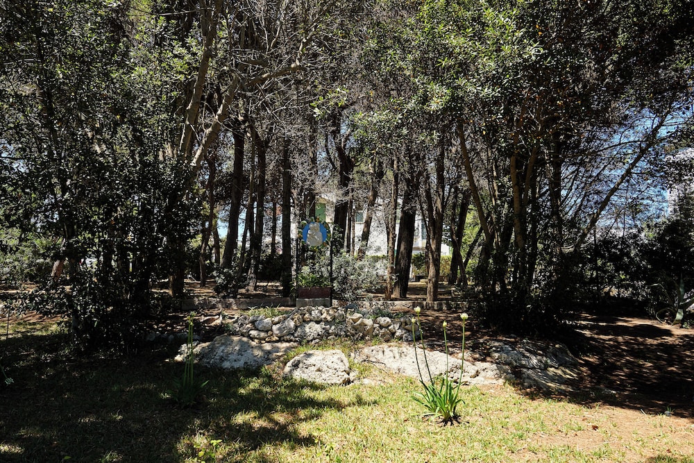 Tenuta Belvedere 48/50