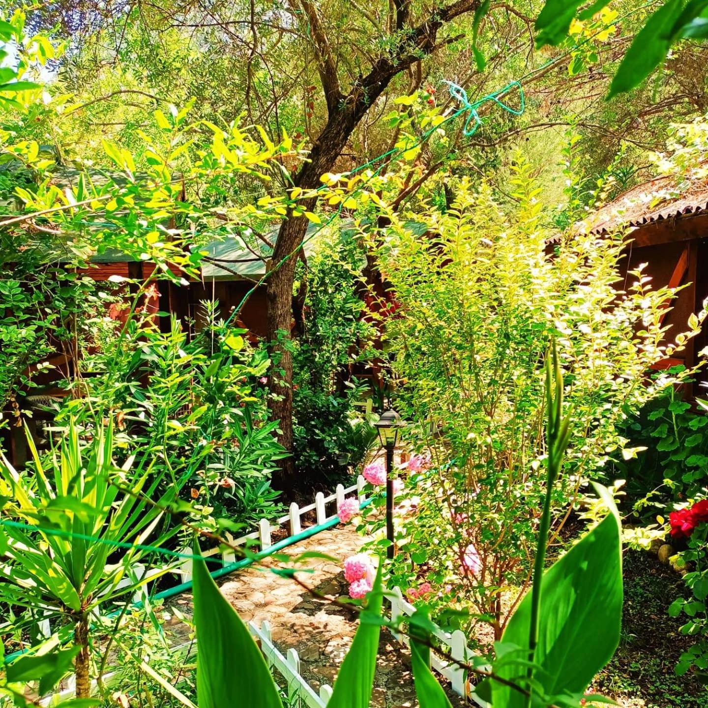 Canario Pension Bungalow 32/50