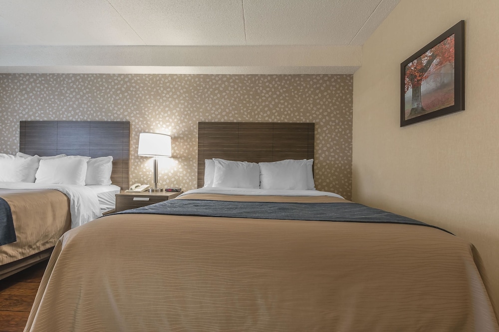 Comfort Inn Levis 11/33