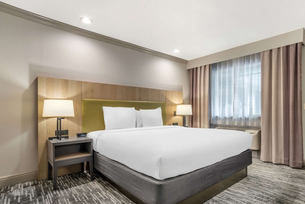 ROOM, KING BED, ACCESSIBLE