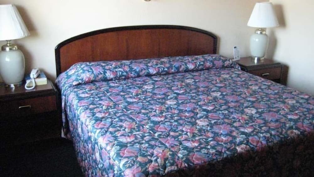 OYO Travellers Inn 21/39