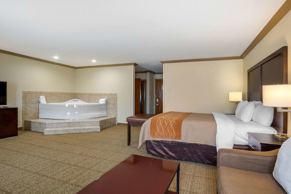Comfort Inn Castro Valley CA 14/39