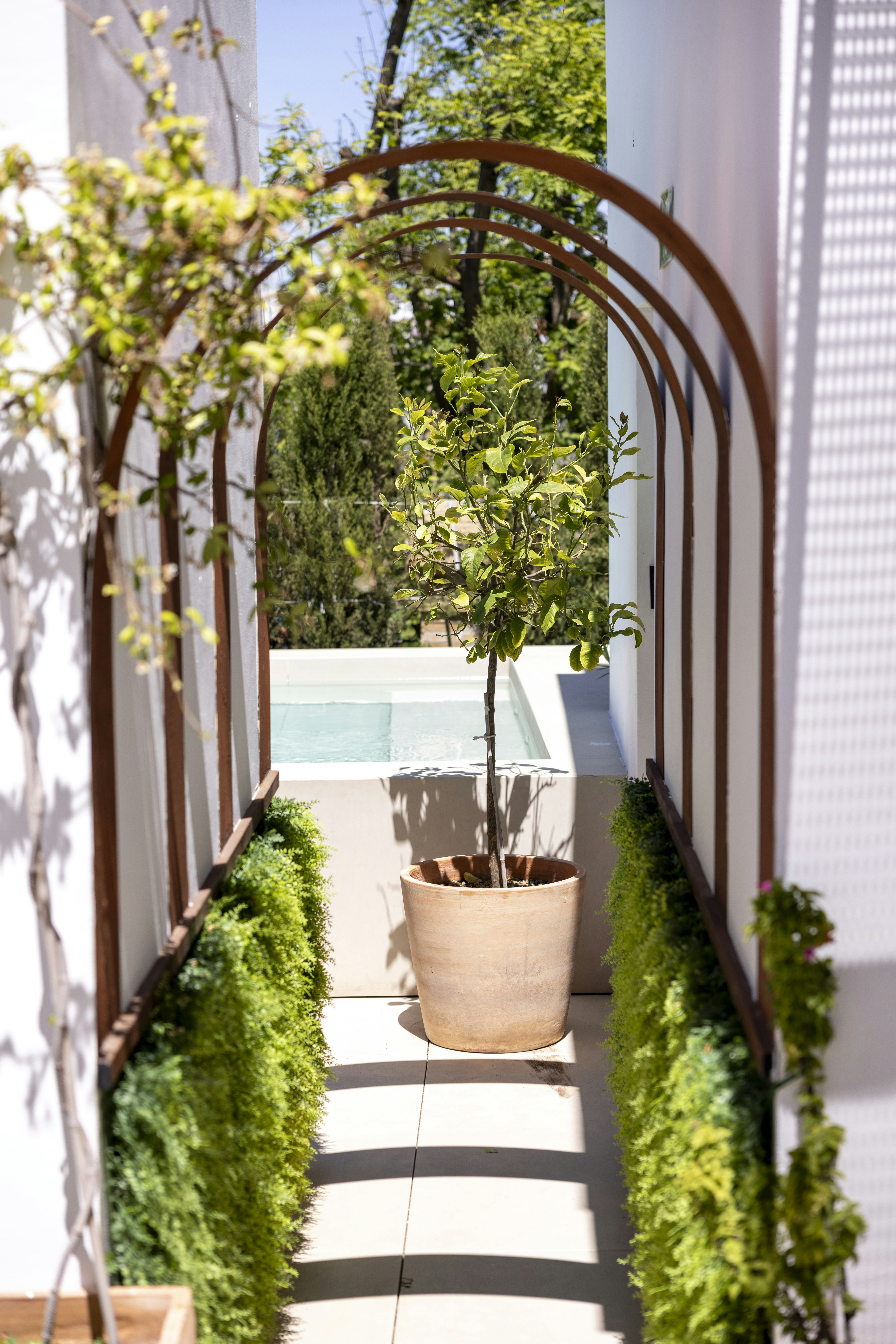 CAVALTA BOUTIQUE HOTEL GL 45/50