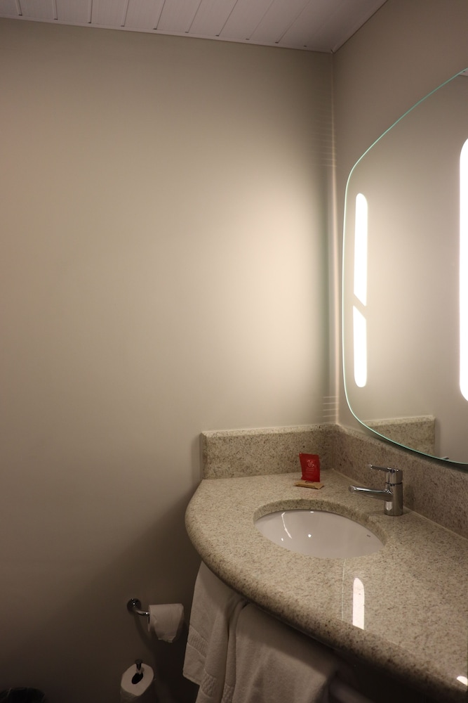 Ibis Guaxupe 43/43