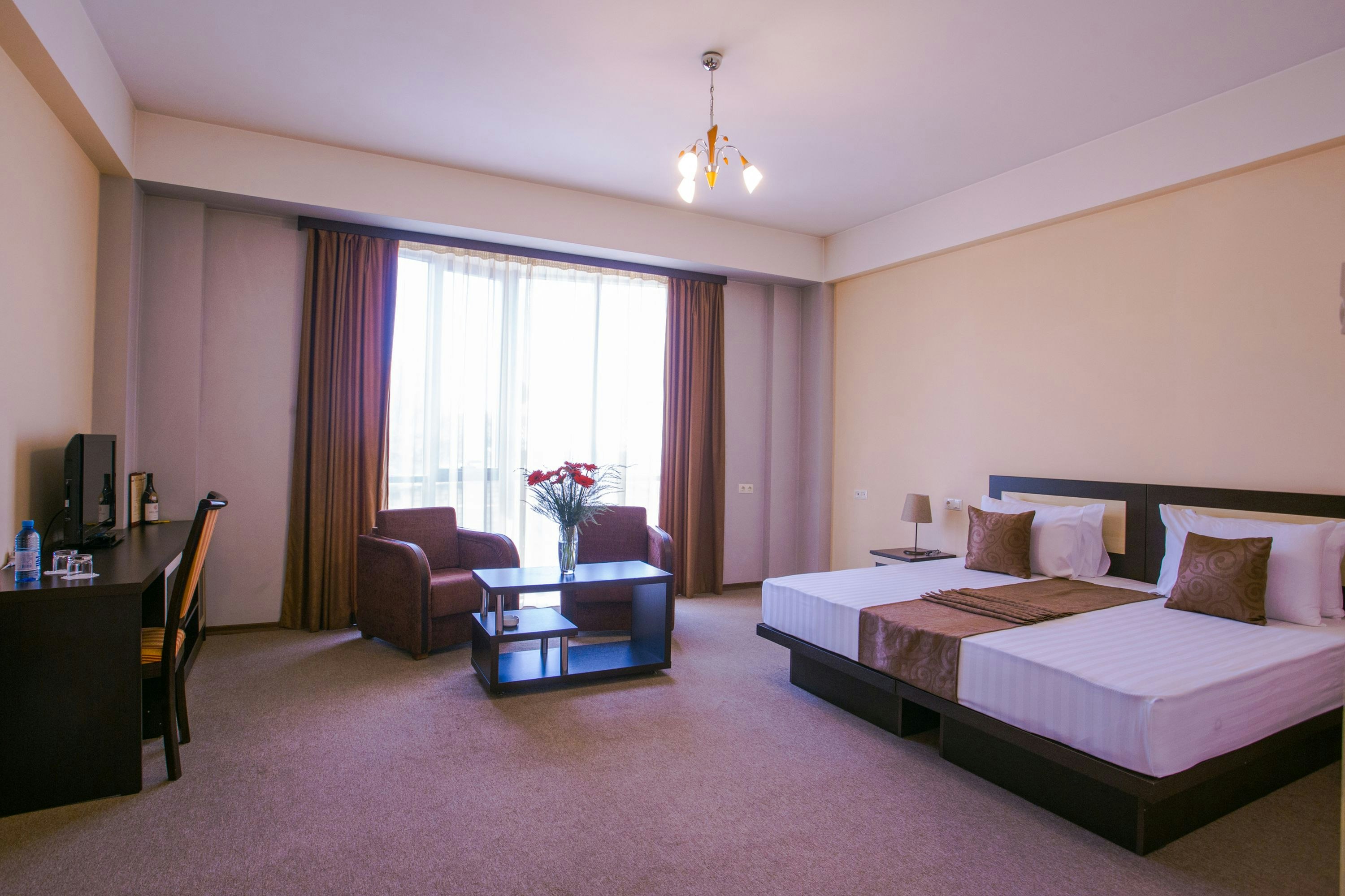 Ani Central Inn Ex Silachi 15/66