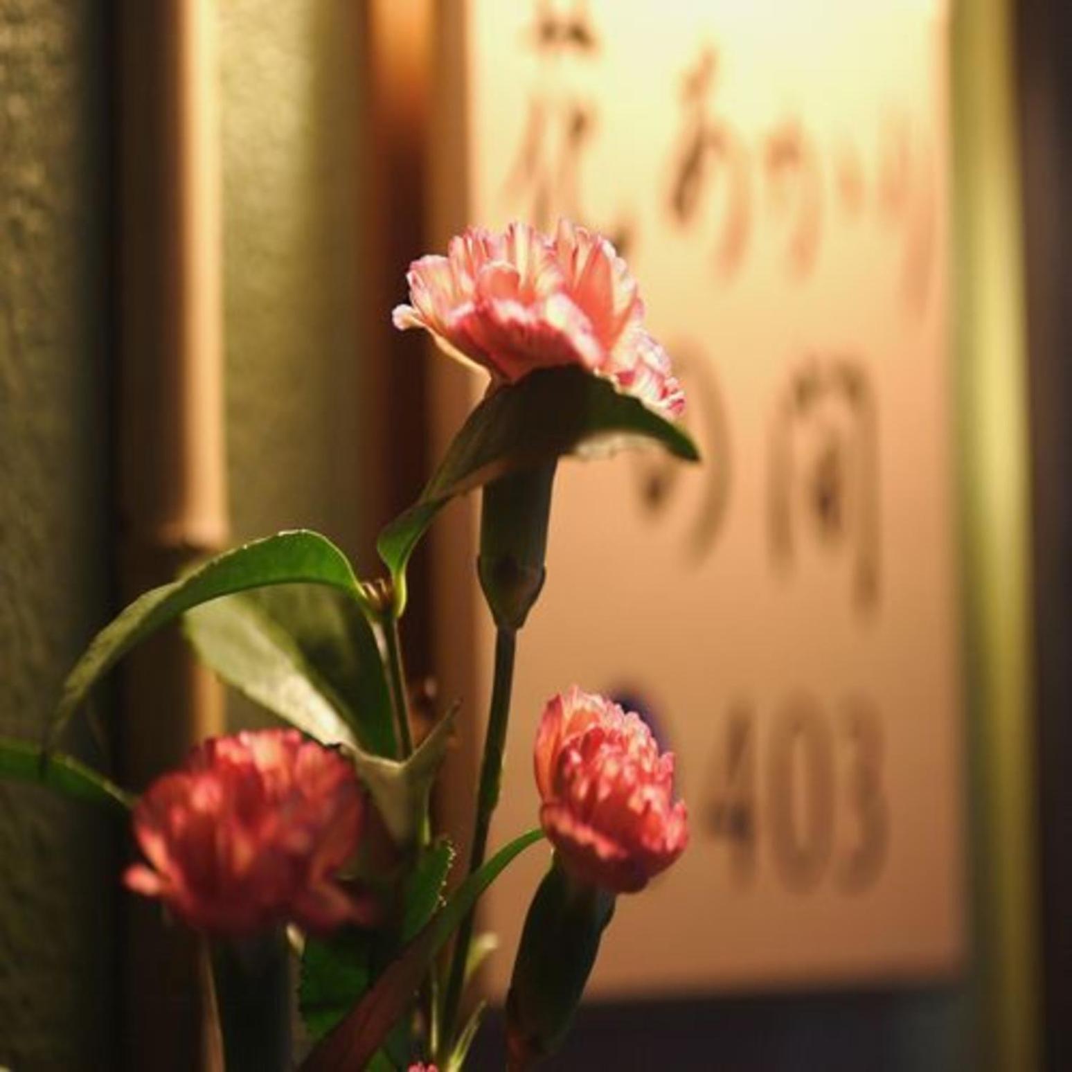 Shukaen Yunohanazen 18/51