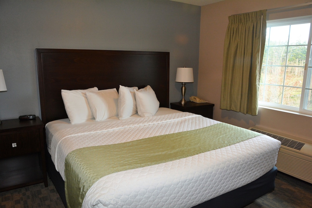 Suite, King Bed