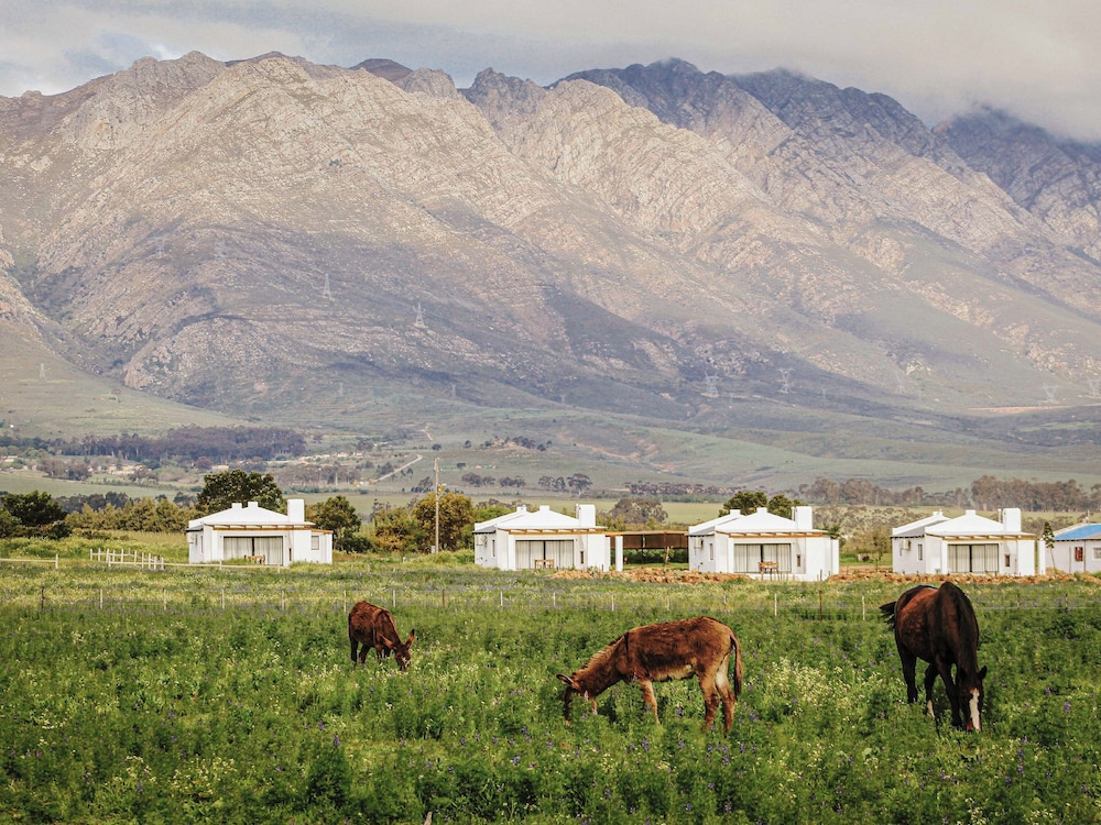 Duikersdrift Winelands Country Escape 40/50