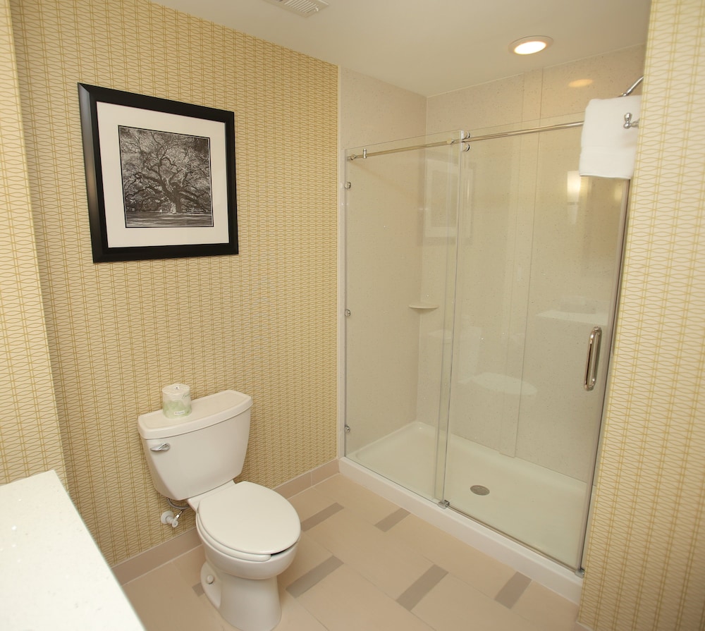 Standard, King Bed, Extra Floor Space, Holiday Inn Express Suites Southport Oak Island Area 4/4