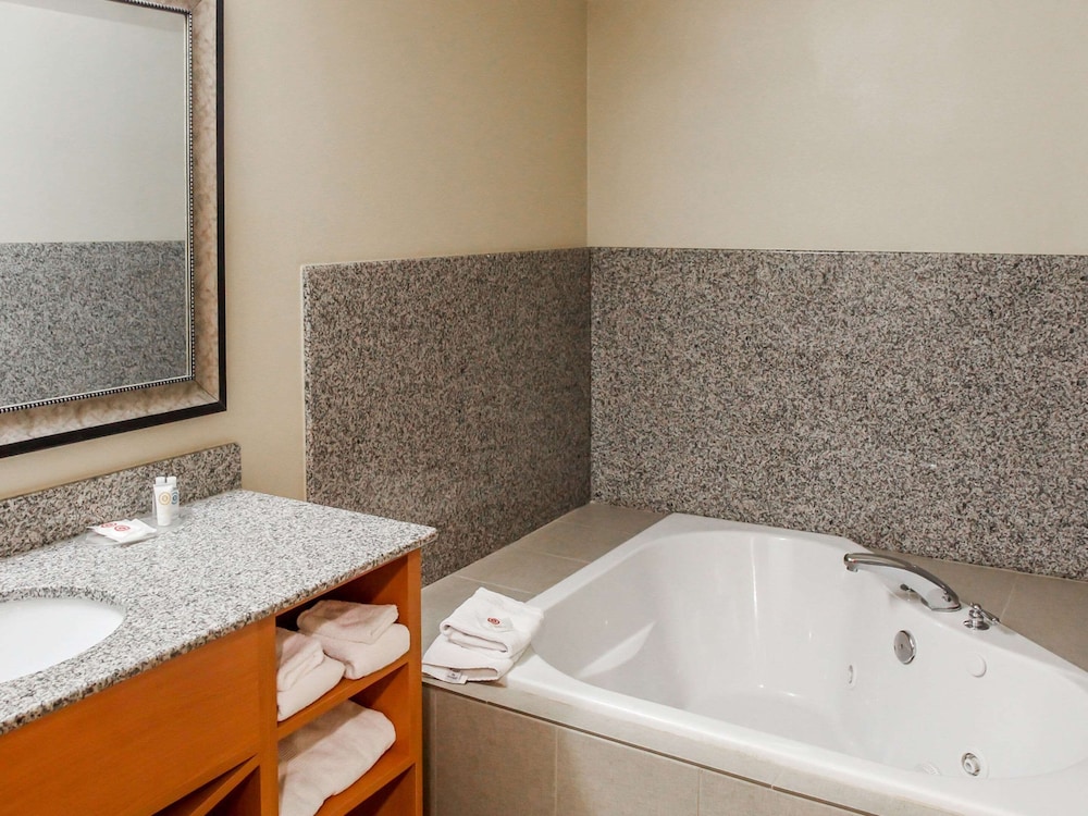 Comfort Suites At Virginia Center Commons 15/39