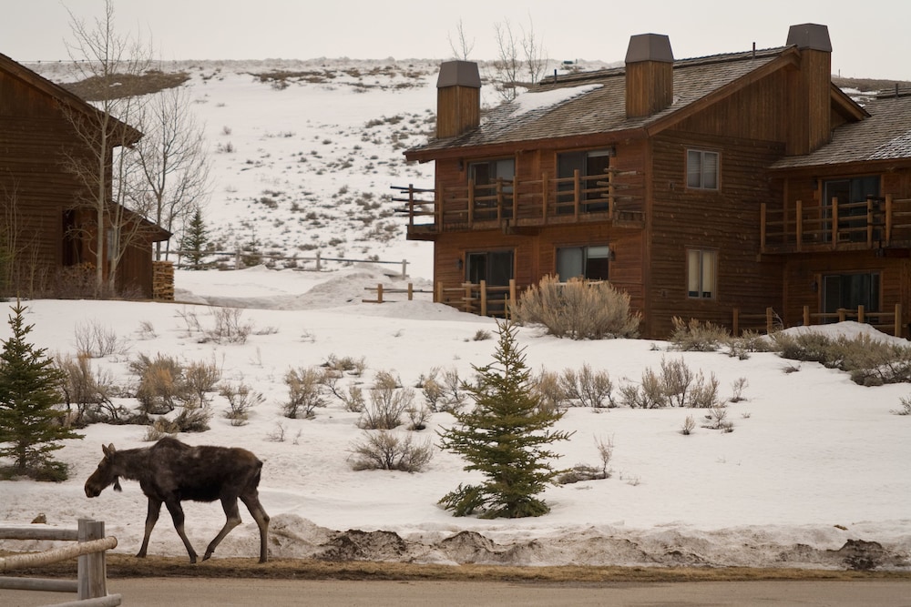 Spring Creek Ranch 1/75