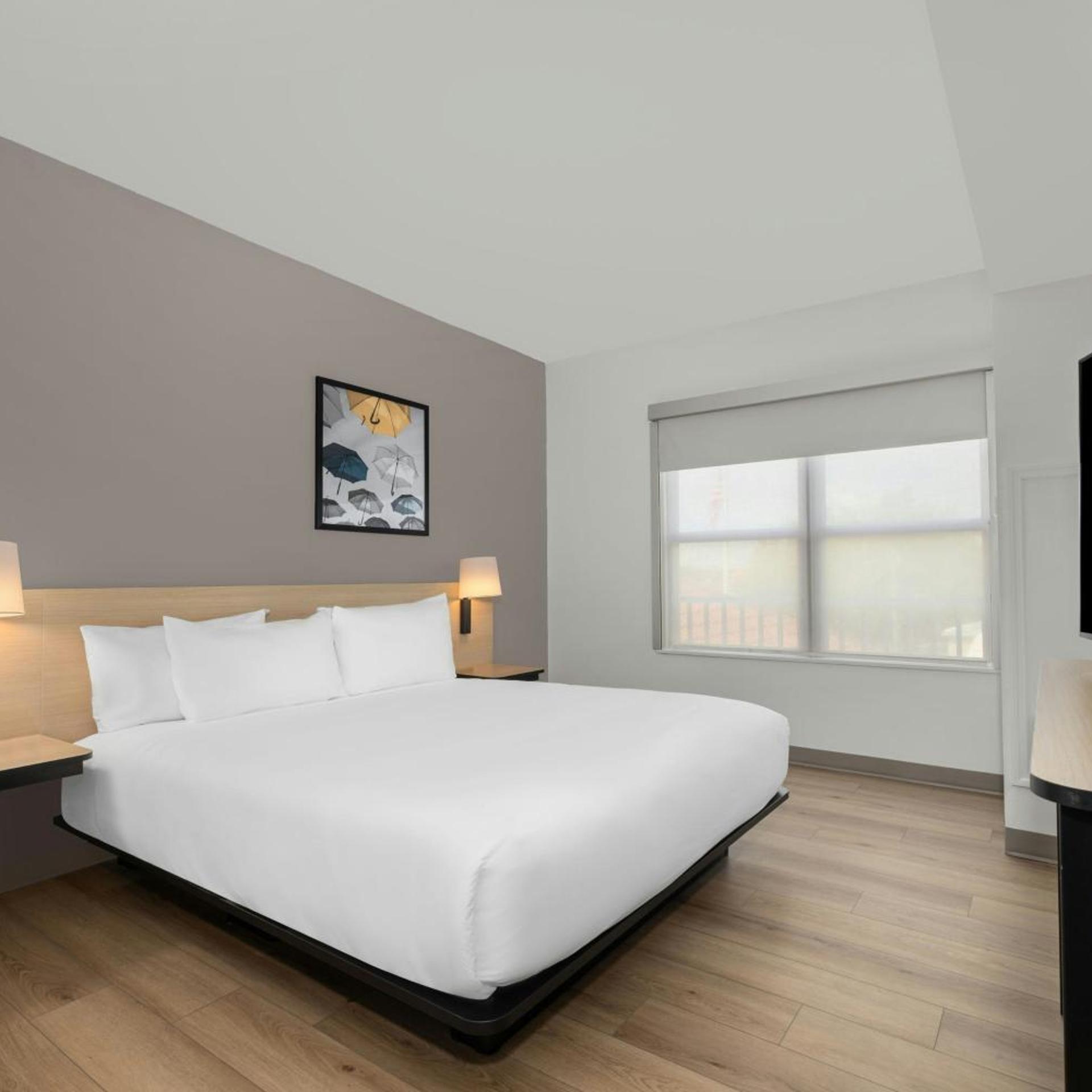 Suite, King Bed, No View, Sofa