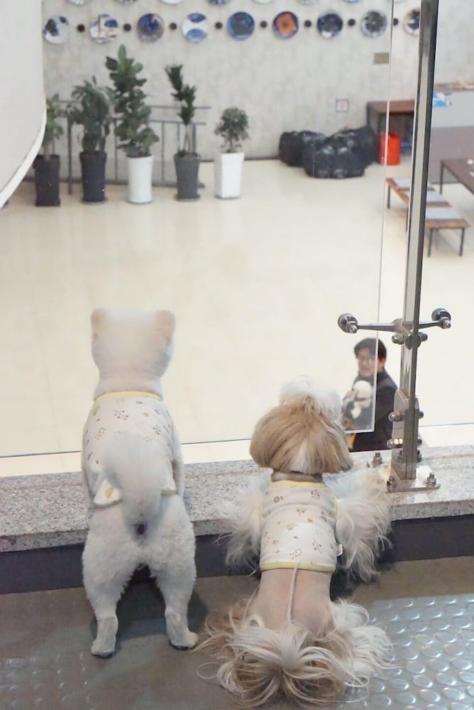 Hi Jeju Hotel 49/50