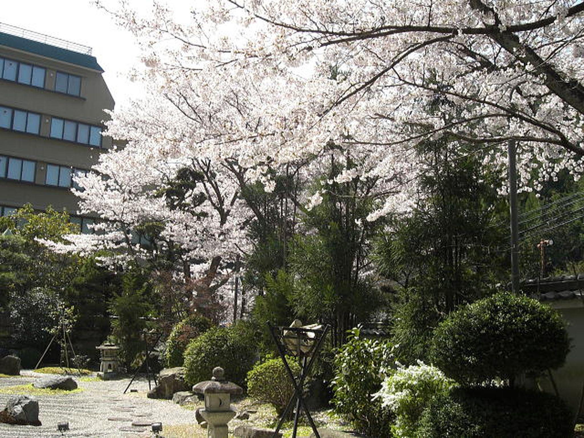 Omotenashi No Yado Keizankaku Hotel Kyoto 7/36