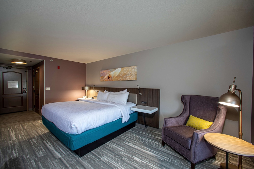 Hilton Garden Inn Rapid City 19/50