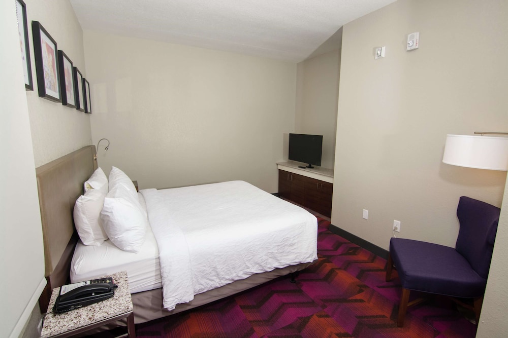 Hilton Garden Inn Tampa Suncoast Parkway 14/53