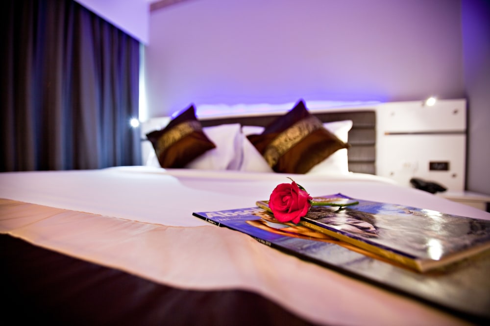C N Hotel Patong 24/46