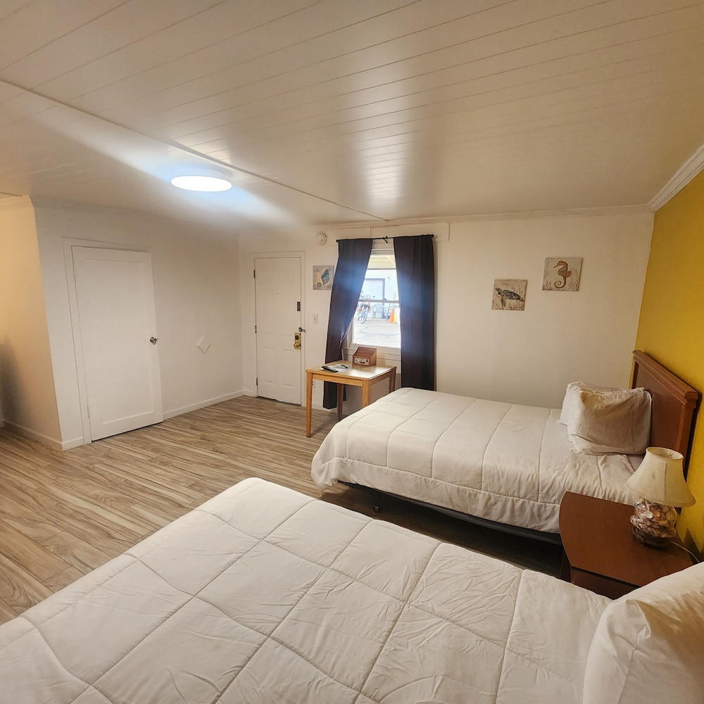 Rose's Motel 21/50