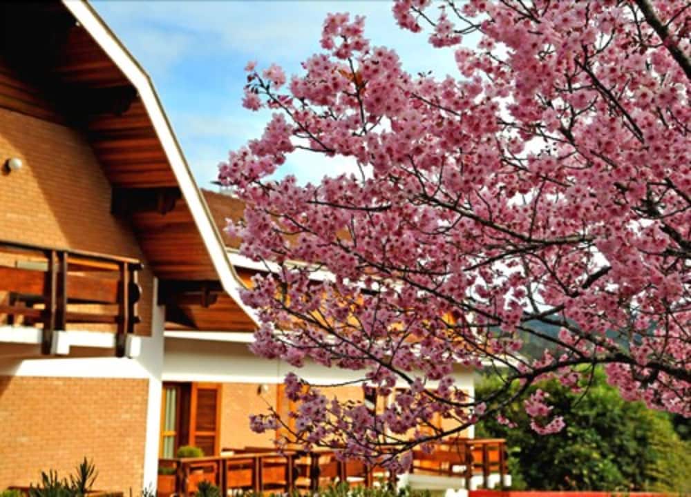 Matsubara Hotel 5/50