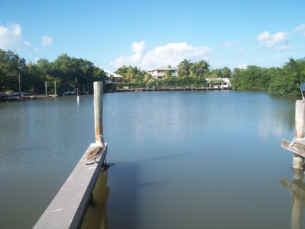 Kingsail Resort 50/59