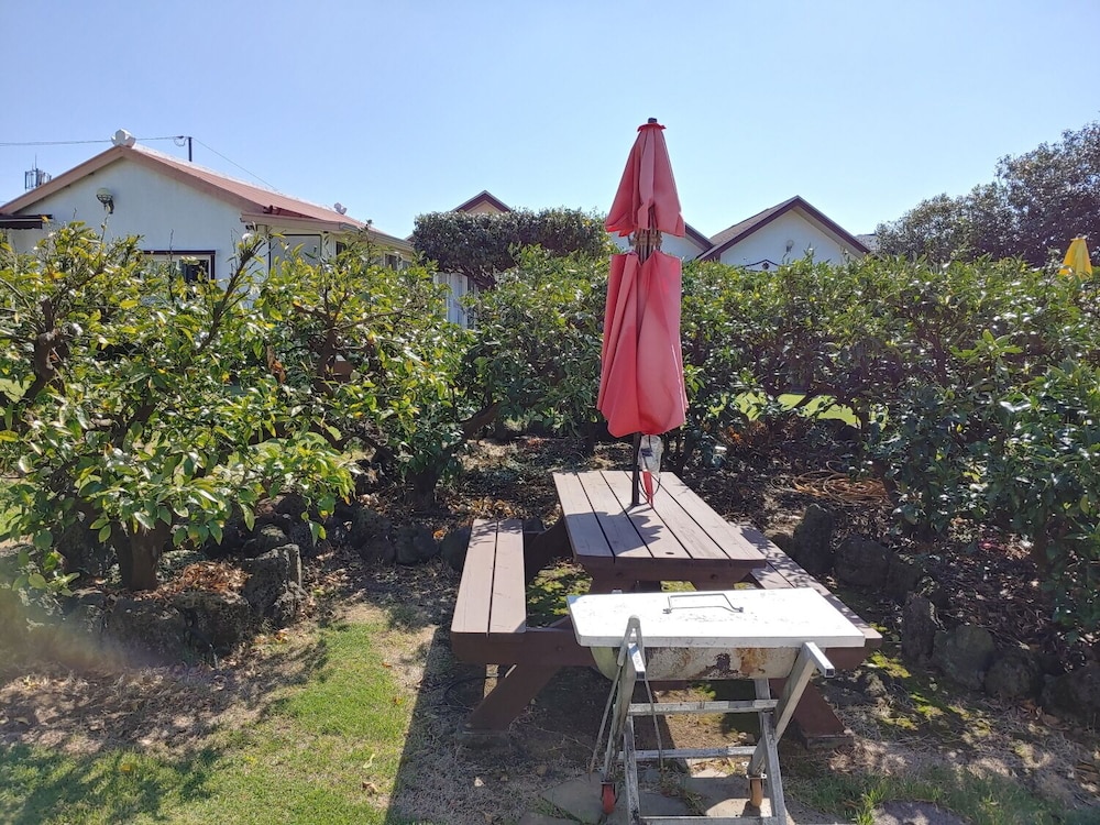 Gyul House 14/29