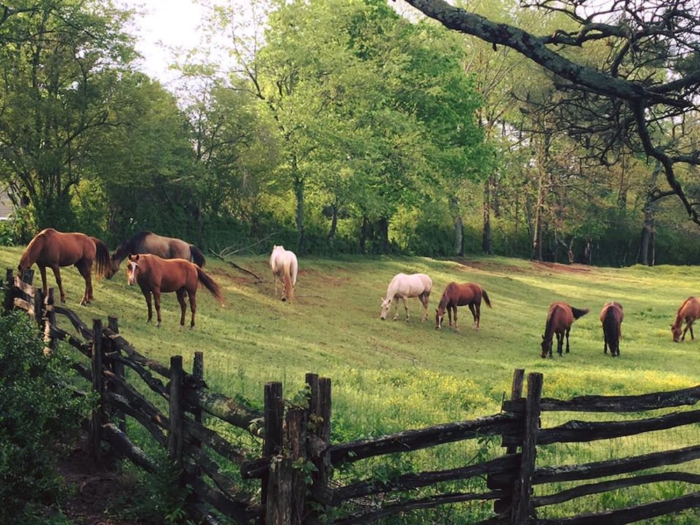 Seventy-four Ranch 31/50