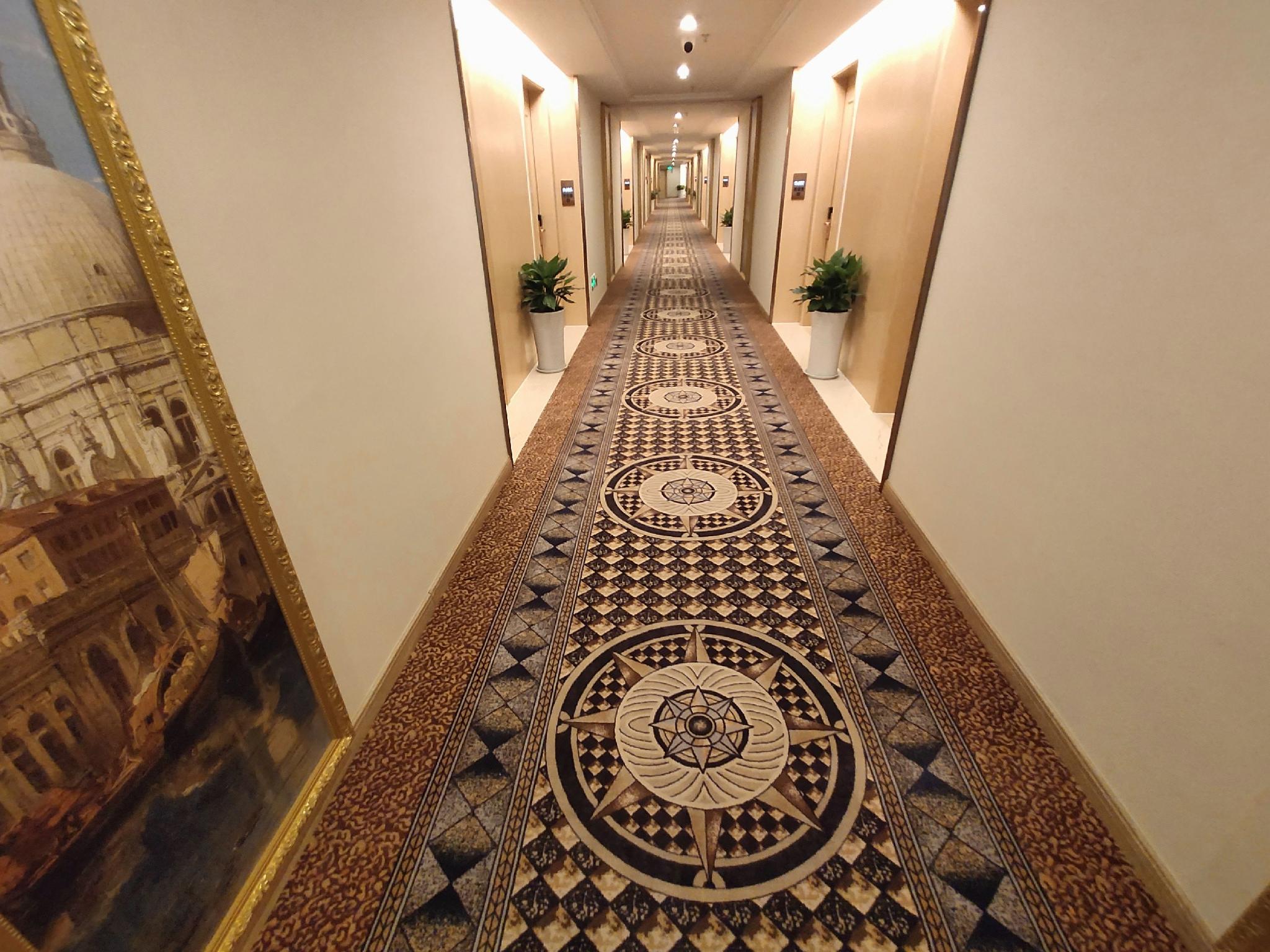 Vienna Hotel (Huaiyuan Xinhe) 15/33