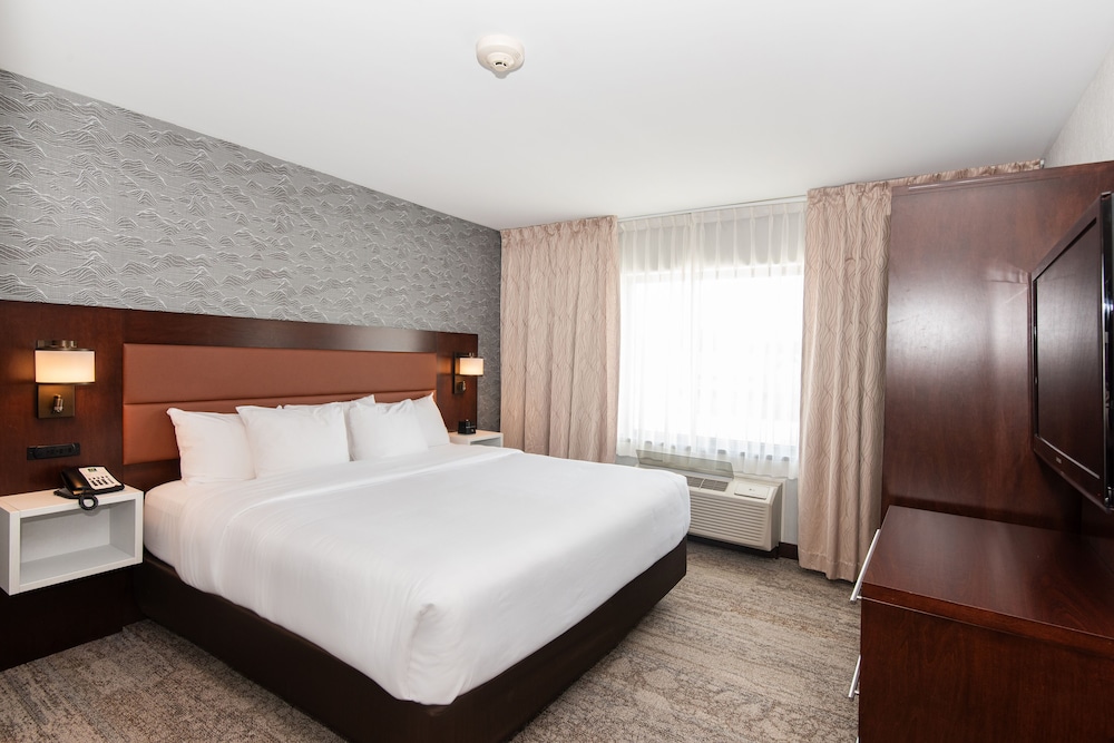 Efficiency, Suite, King Bed